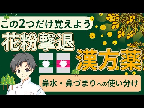 【知らないとヤバい】間違った花粉症対策【薬剤師が解説】