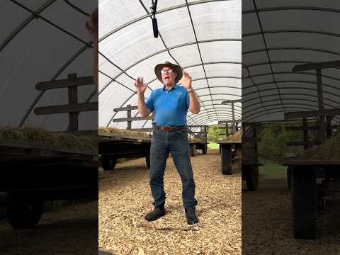 Joel Salatin tells story of restaurant staff with sore hands from toxins from industrial chickens