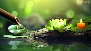 Relaxing Music Piano with the Sounds of Nature Bamboo Water Fountain - Sleep Music,Meditation.