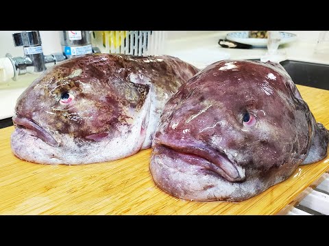 世界一ブサイクな魚食べてみた！