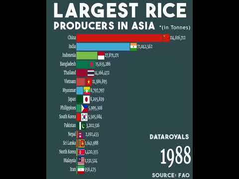 Biggest Rice Producers in Asia