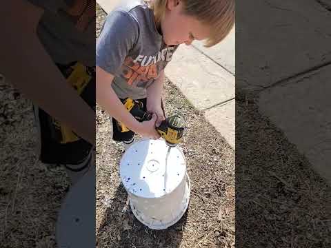 Composting worm bucket     (Part 1) #farmstead #composting #wormbucket