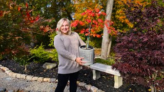 Fall Garden Tour: Glowing Gomphrena, Flowers for the Autumn Garden & Vibrant Foliage. October 2023