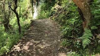 The trekking path to Babaji Cave #babajicave