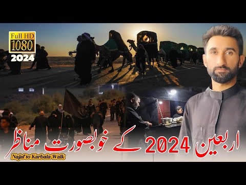 Najaf To Karbala Walk - Safar e Ishq - Arbaeen 2024 - Waheed najafi