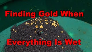 Going back for the gold I left a few months ago and prospecting when everything is wet