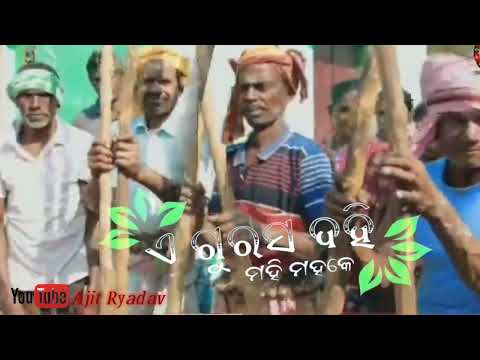 GOUD PILA SAMBALPURI STATUS VIDEO .