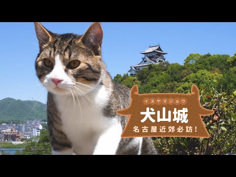 【犬山觀光特集】探訪日本國寶五城之一「犬山城」🏯｜犬山城下町、三光稻荷神社、Hotel Indigo犬山有樂苑｜名古屋近郊旅遊｜犬山必吃必玩必住看這篇！