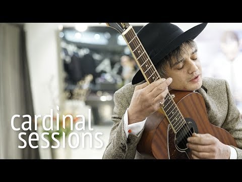 Peter Doherty - Who's Been Having You Over - CARDINAL SESSIONS