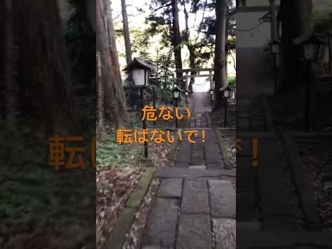 そんなに急いでどうしたの？ #神社  #願い事  #階段