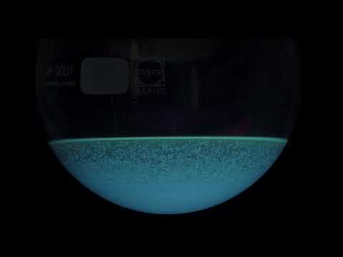 Crystallization of voacangine from ethanol under UV-A and UV-B light