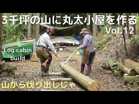 ３千坪の山に丸太小屋を作る vol.12　梁を山から切ってくる