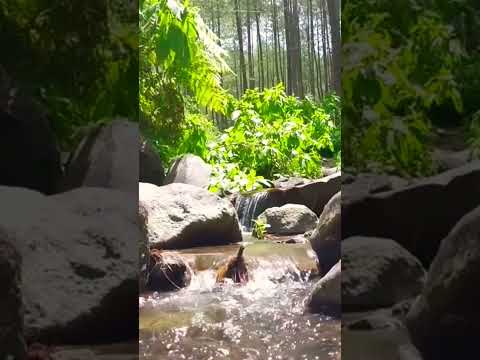 The sound of the river #relaxing #nature #soothingsound #shorts