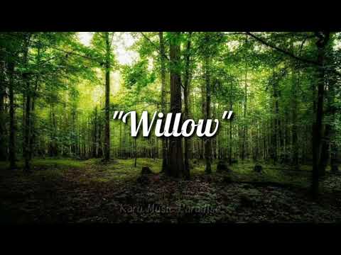 Taylor Swift - Willow (Lyrics)