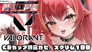 【Valorant】CRカップヴァロ顔合わせ、スクリム１日目！【ぶいすぽ / 猫汰つな】