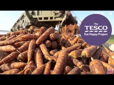 You'll never believe how many tons of carrots are grown in the UK every year!