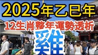 【古柏論命 - 張古柏】2025年乙巳年12生肖整年運勢透析 – 雞