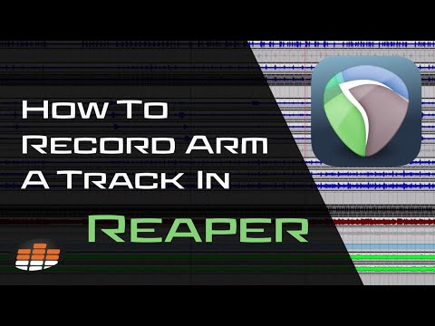 Recording In Reaper: How And When To Arm A Track