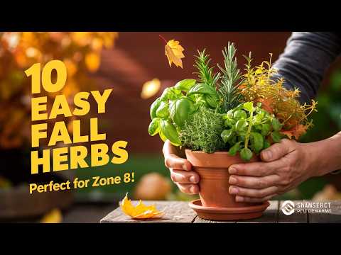 10 Easy Herbs to Grow in Fall for Beginners | Perfect for Zone 8!