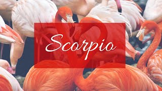 Scorpio❤️The one you are not talking to right now: Their thoughts, feelings, intentions & actions!