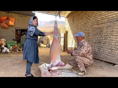 Iran nomadic life: A journey to pastures and a butchery to prepare meat in the mountains