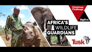 Africa's Wildlife Guardians | The Big Give Christmas Challenge 2023