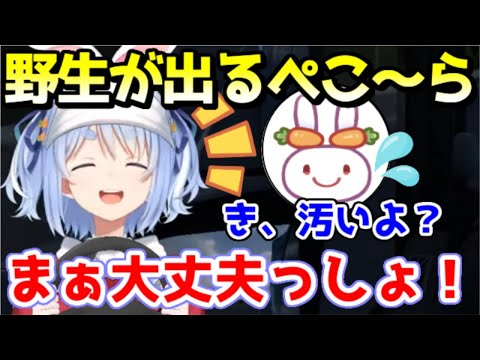 野うさぎに汚いと言われても気にしないワイルドさを見せるぺこーらｗ【ホロライブ／切り抜き】