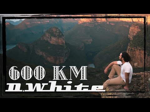 D.White - 600 KM (Solo Version 2024). New Italo Disco, Euro Disco, Euro Pop, Super music of 80-90s