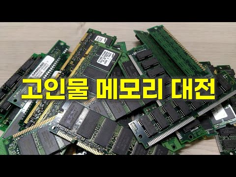 고인물 메모리 대전 Old Memories Battle