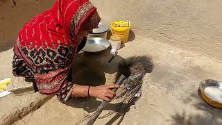 Traditionalculture villagelife village women traditionallifepakistan