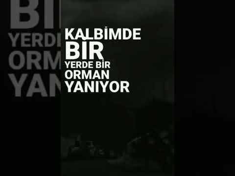 Kalbimde  bir yerde bir orman yanıyor … !