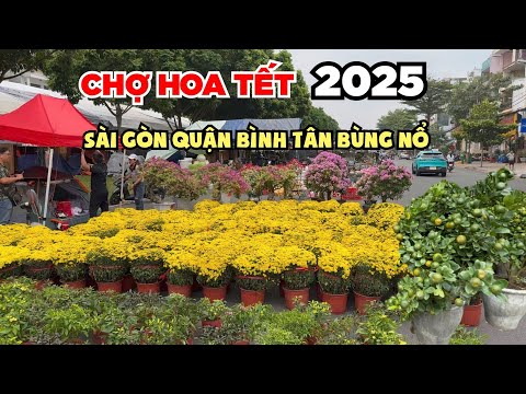 Chợ Hoa Tết 2025 nhiều hoa kiểng độc lạ giá rẻ bất ngờ ở Sài Gòn