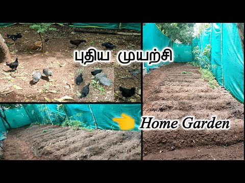 💥வீட்டு தோட்டம்🏡New home garden 🌱கோழி வளர்ப்பு/புதிதாக தொடங்கப்பட்டது #garden #iyarkaivalviyal