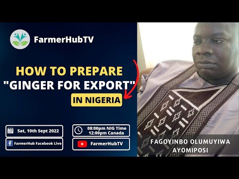 How to "Prepare Ginger for Export" in Nigerian