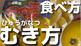 教えます！日向夏の'ムダのない'切りかた盛り付けかた(宮崎特産)