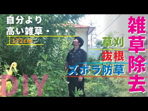 【【庭DIY 庭作り】】雑草だらけのこの敷地を雑草対策。草刈り→簡単抜根→ズボラ除草で綺麗にしていきます｜草刈り、抜根、ズボラ準備編｜庭diy［How to control weeds］