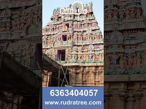 Naganatha Swamy Raahu Temple, Thirunageswaram | RudraTree Rudraksha and Gemstones