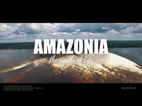 Pavel Lipski - Amazonia (Official Audio)