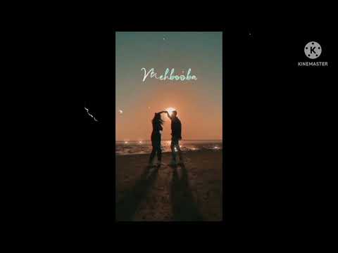 New Love Status 💞❤️❣️ | Mahbooba Song WhatsApp status |  #newlovestatus #wtpstatus #lovestatus