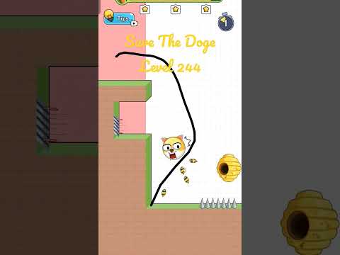 Save The Doge Level 244 3 STARS Gameplay. #savethedoge #shorts #gameplay #walkthrough #mobilegame