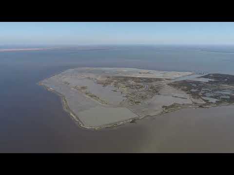 Rabbit Island restoration project