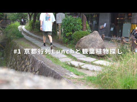 【京都暮らし男子vlog】cafe＆Lunch｜観葉植物｜京都vlog