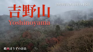 奈良へ行こう！世界遺産吉野山！2024年12月🍁