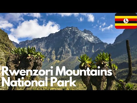 Exploring the Mystical Rwenzori Mountains National Park, Uganda