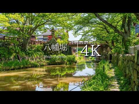 [water that remains from the Sengoku period] Visit Hachimanbori in early summer - JAPAN in 4K