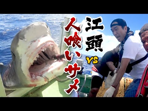 Catch A Monster Man-Eating Shark in Okinawa！