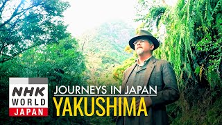 Yakushima Awakenings - Journeys in Japan