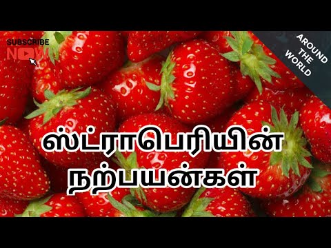 Health Benefits of Strawberry 🍓 | Around the World