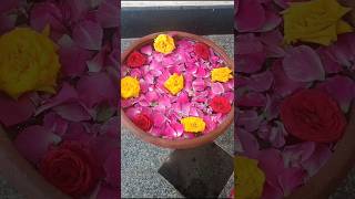 uruli flower decoration #shorts #youtubeshorts #uruli #urulidecoration