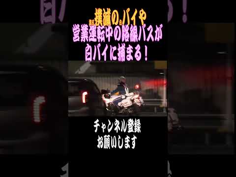 【ショート】営業運転中の路線バスが白バイに捕まる！【撲滅のバイや】